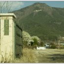 안태초등학교 이미지