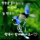 사랑의 노래 이미지