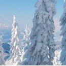 시때호프 이미지