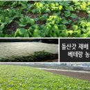 현옥농장 네이버블로그