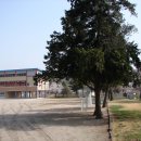 진상중학교 이미지