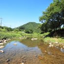 엉클캠프 이미지