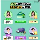 조합임원 피선출 자격을 갖출 수 있는 사람의 조건 이미지