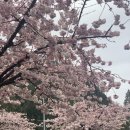 홀스쿠버
