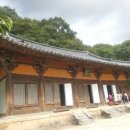브이레인 이미지