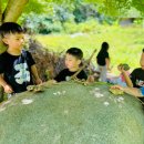 루소의숲유치원 이미지