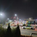 장성 꽃 화원 이미지