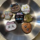 스테이온빈 이미지