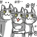 세종축산정육식당 이미지
