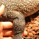 냠냠쩝쩝 이미지