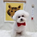 마실오개 이미지