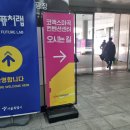 멍멍이를 부탁해 | 내년엔 무조건 이렇게 가세요! 컬리푸드페스타 2025 입장 줄 서기부터 정호영 셰프 쿠킹쇼 명당 선점법