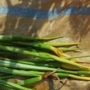 길복농장 이미지