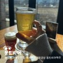 금상화장실 | 속초 가볼만한곳 수제맥주 금상 수상한 몽트비어