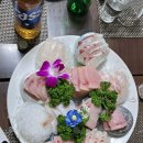 동해어가 이미지