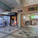 선이커피 | 홋카이도 오비히로 맛집 투어｜쓰리스탠다드커피·이자카야 선 후기 - (7)