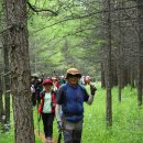 성산마트 이미지