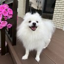 향 하우스 이미지