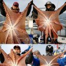 공현진낚시마트