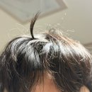 해동핼스클럽 | 2025.07 넷째주 일상 blog