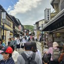 千年首都 교토, 아라시야마(嵐山) 그리고 철학의 길(哲学の道) 이미지