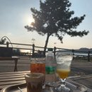 예래마을 새왓이기는 소리 | 나만 알고싶은 제주도 카페 팔길 솔직후기 (여유롭고 차분하게 뷰 맛집 인정!!)