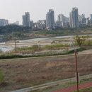 세종공원 이미지