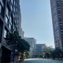 국민건강보험공단일산병원 | 간호사보수교육 후기 (국민건강보험공단 일산병원)