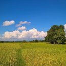 장흥숲길캠핑장 이미지
