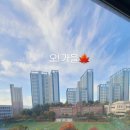 (특강)우쿨렐레(주말) 이미지
