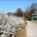 둔대경로당 이미지