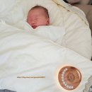 꼭찌 | 란시노 라놀린, 매직캔, 모유수유등, 말랑하니 백색소음기, 앱솔루트 산양, 루톤 산모샴푸