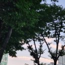 [건대입구역/냥토피아] 건대데이트 장소 스티커 문구와 편안한 분위기 냥토피아 후기