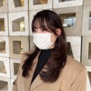 비쥬얼헤어 이미지