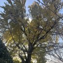 금시당유원지 화장실 이미지