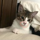 함열휴먼시아 이미지