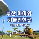유익한 실생활 아동 안전교육 유아편 | [부산 아이와 가볼만한곳] 영도 국립해양박물관 예약 버스 정류장 꿀팁 총정리