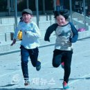 삼숭초 이미지