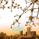 하루하루 이미지