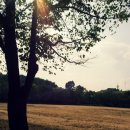 하빈면사무소 이미지