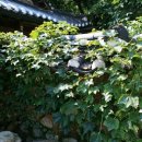 충현박물관 이미지