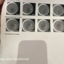 쌍둥이추어탕 | 시험관ep5. 시험관 1차 3일 배아 신선 이식 후기(수지 마리아_차선화 선생님)