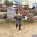 채원애뜰 네이버블로그