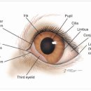 바른동물병원 이미지