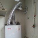 사파동113 이미지