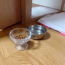 핸드메이드 강아지원목식기 후기:)