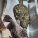 잇텐스시 이미지