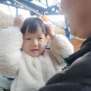 이화카 | 정읍 26개월 두돌 아기랑 가볼만한곳 내장산 케이블카 단풍놀이 단풍구경 후기 11.10