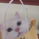 라떼 과자점 이미지