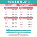 털뭉치이발소 | 신정동 애견미용 잘하는곳 펫이발소 무료픽드랍 맘에 들어요